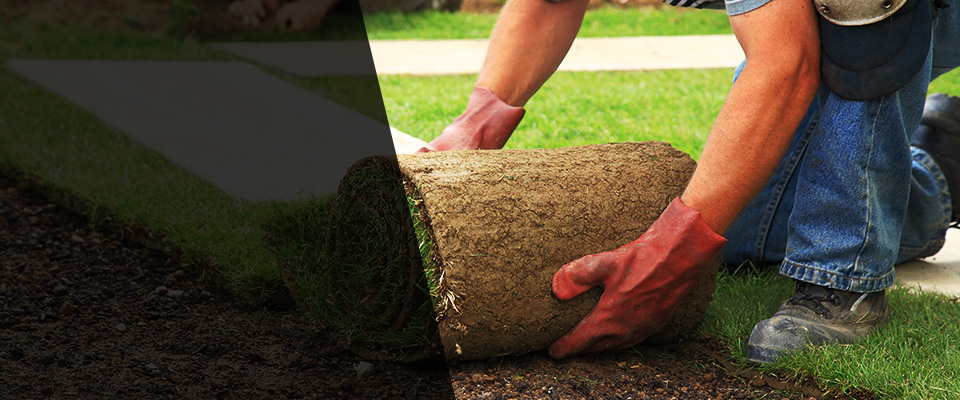 Ipswich Landscapers